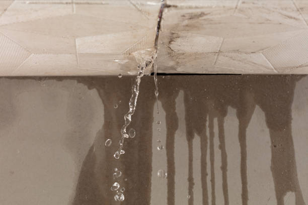 Professional Structural Drying technician working in Twin Bridges, CA